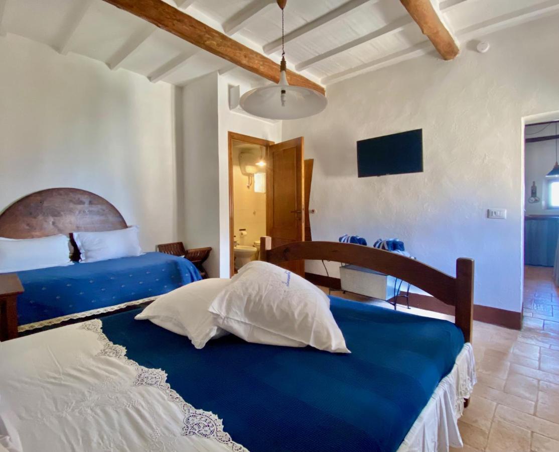 Panoramic Nest In Montalcino Villa Exterior photo
